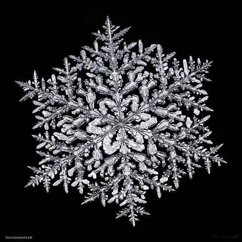 Snow crystal Don Komarechka ©