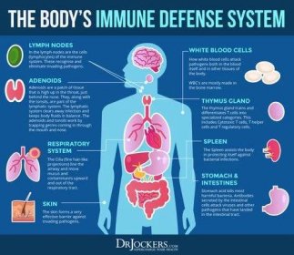 Immune Boosters: 12 Natural Immune System Modulators - DrJockers.com