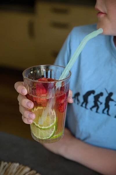 domácí limonáda
