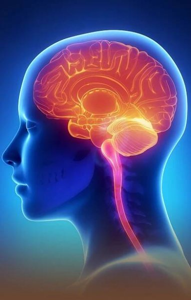 KINEZIOLOGIE KROUPOVÁ – masáže, pedikúra, kineziologie Město Touškov