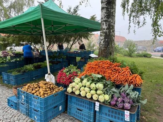 2024 - Farmářské trhy - Oficiální stránky obce Holubice-Kozinec