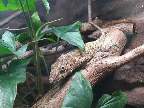 Recenze - Akva Tera Zoo Plzeň • Mapy.com
