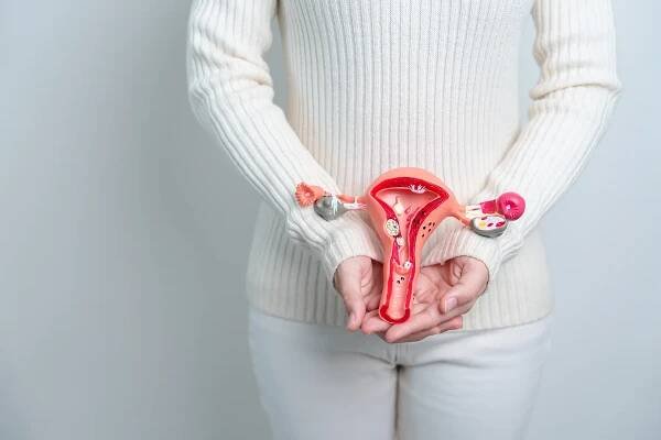 žena držící model dělohy a vaječníků. rakovina vaječníků a děložního čípku, porucha děložního čípku, endometrióza, hysterektomie, děložní myomy, reprodukční systém a koncepce těhotenství - polypy - stock snímky, obrázky a fotky