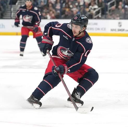 NHL Star and His Brother Killed By Driver While on a Bike Ride