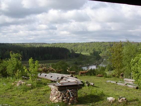 Dzerzhinsky District, Kaluga Oblast