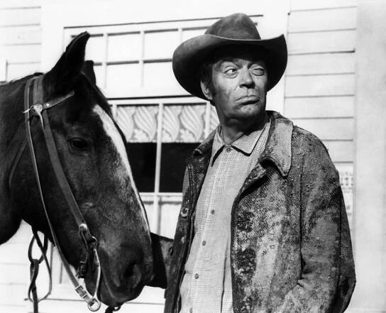 SUPPORT YOUR LOCAL SHERIFF, Jack Elam, 1969