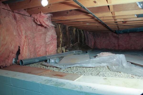 CrawlSpaceProblems