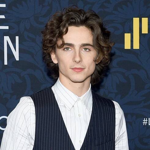 Timothée Chalamet to play Willy Wonka in origin story Luca Guadagnino Wes Anderson Johnny Depp Adam McKay David Heyman