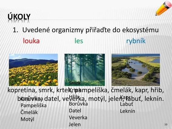 PPT - ekosystém PowerPoint Presentation, free download - ID:4999648