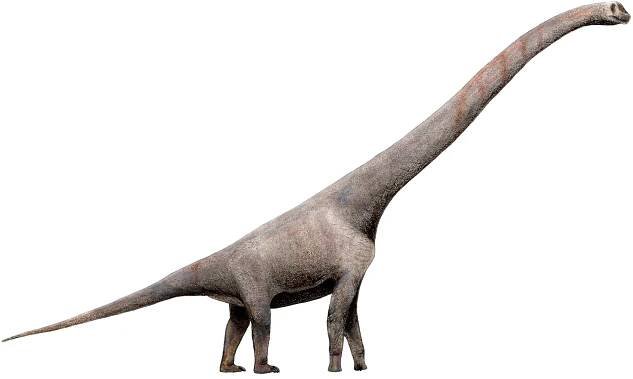 Soubor:Sauroposeidon proteles.jpg – Wikipedie