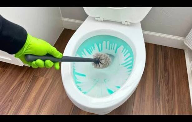10 Things You Need To Know About Cleaning Your Toilet
