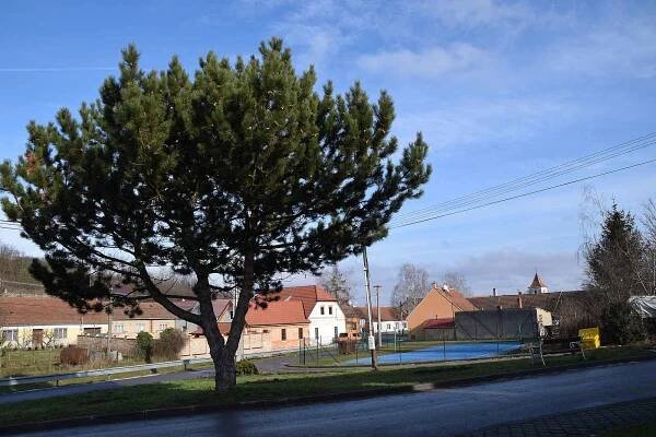 Milovice
