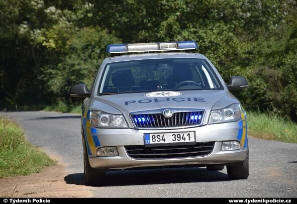 Devatenáctiletá dívka v Suzuki narazila u Vlkančic do stromu, vůz po nehodě shořel | Týdeník Policie