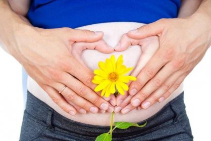 Contact — Center for Integral Pregnancy & Childbirth