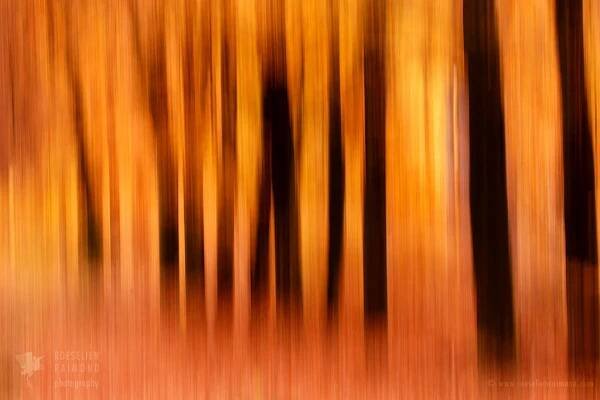 Blurred Lines