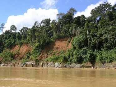 Kde pramení Amazonka? Výstava připomíná 20 let od obrovského úspěchu českých vědců | Radiožurnál
