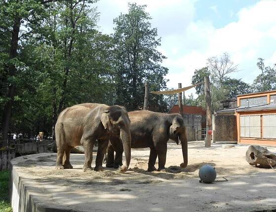 Liberec 1: Zoologická zahrada