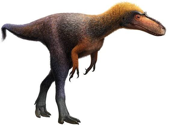 New three-foot-tall relative of Tyrannosaurus rex