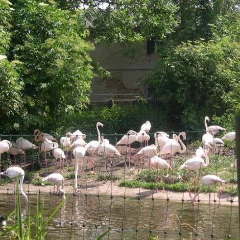 Zájezd ZOO Opole 15.6.2019 12