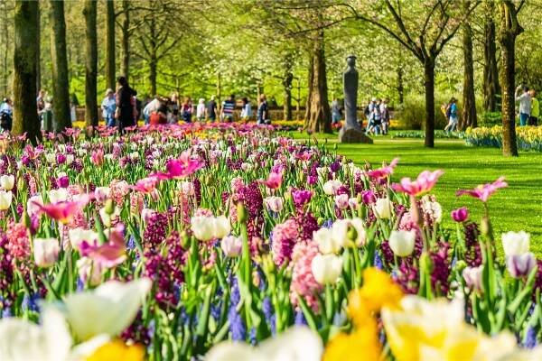 The 5 Most Beautiful Parks and Gardens in Amsterdam