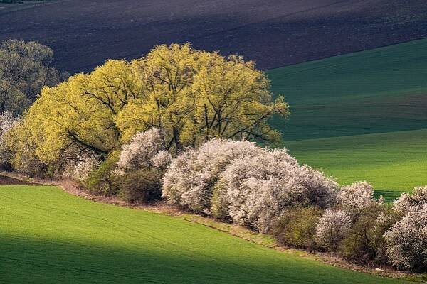 CHRISTER JOHANSSON PHOTOGRAPHY - Södra Moravia