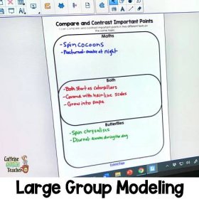 large group modeling of how to write a compare and contrast essay