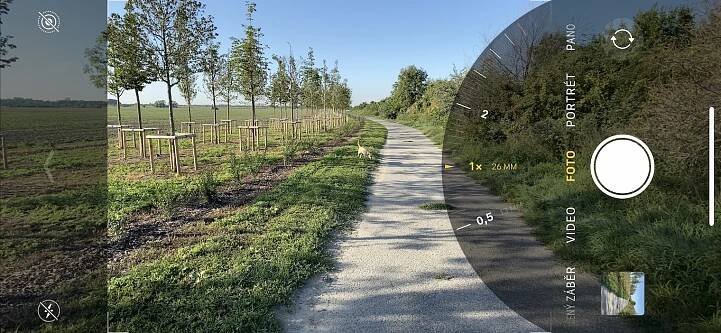 iPhone 11 Pro camera