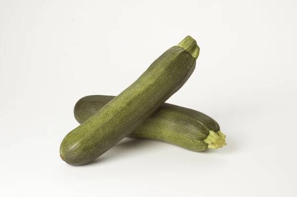 Zucchini Squash