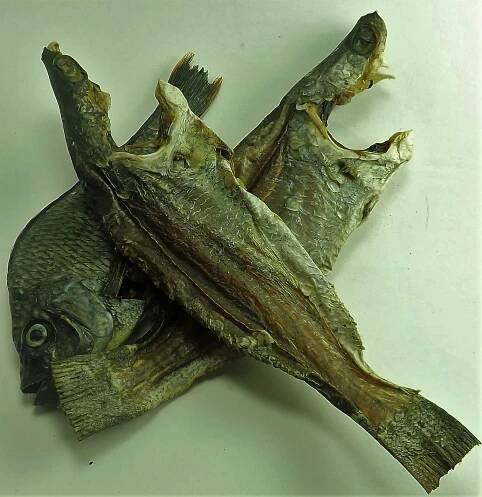 Dehydrated Fish treats for dogs
