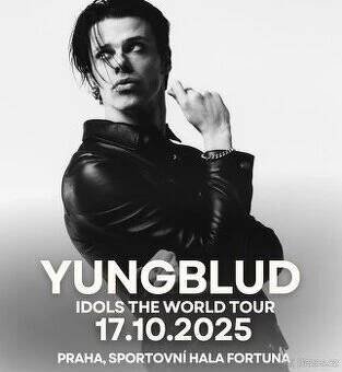 Prodám 4 vstupenky na vystoupení yungblud v Praze 17.10.25