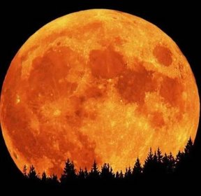 Krásně zbarvený Měsíc v úplňku nad obzorem