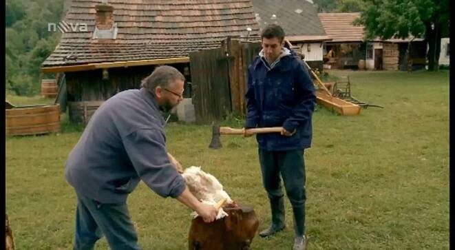 Soutěžící z Farmy chtěli maso, zvíře museli zabít holýma rukama