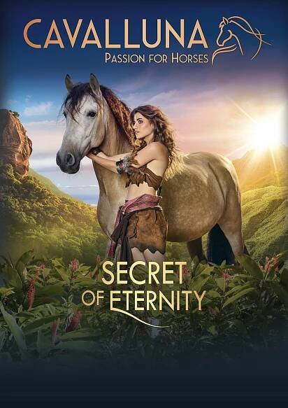 Secret of Eternity: Artwork, portrait format
