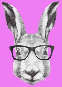 Ruka nakreslený portrét králíka s brýlemi. Prvky vektoru izolované. — Ilustrace