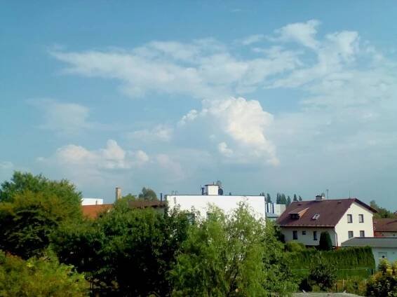 Hořice - Libonice