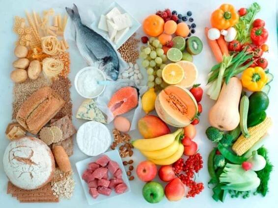 Vyvážené nutriční oficiální doporučení odborníků na výživu / Články