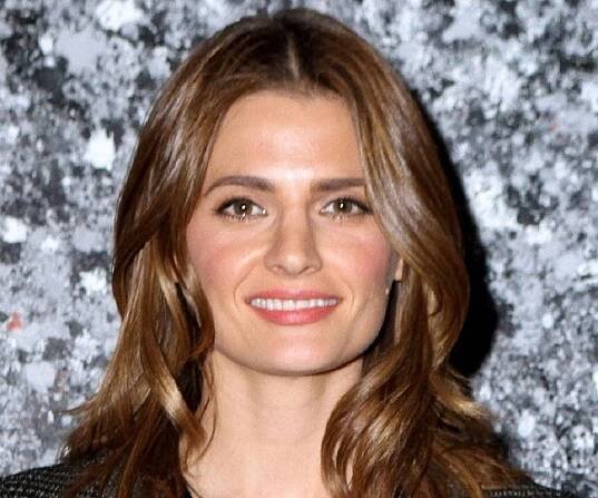 Stana Katic Biography - Facts, Childhood, Family Life & Achievements