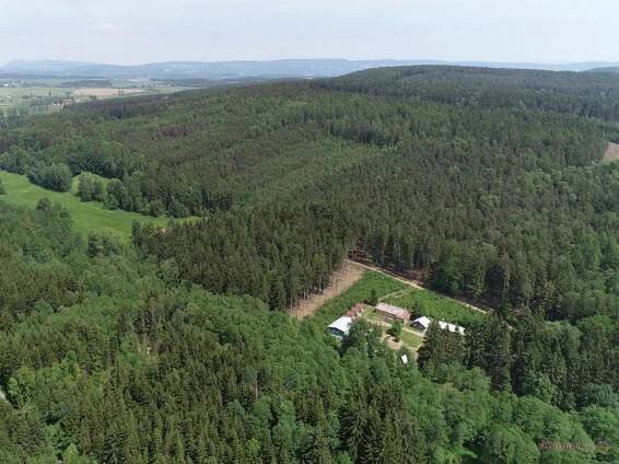 Tábořiště a kemp Nesytá - Kohoutov, Trutnov | eKempy.cz
