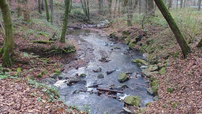 Holzweg › Hiking Touren