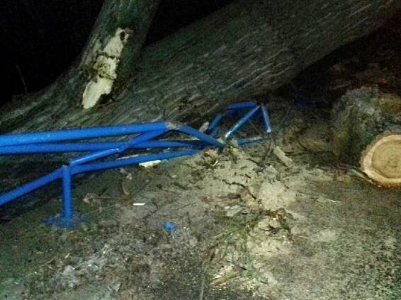 U Polep spadl na silnici obrovský topol. Rozdrtil naštěstí jen zábradlí
