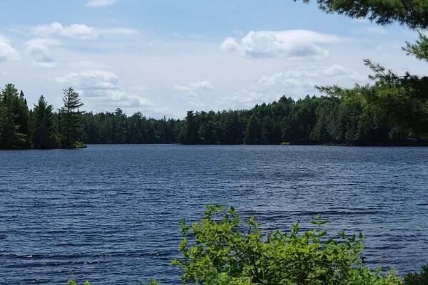 Algonquin Provincial Park 2019 - Eddie Carle