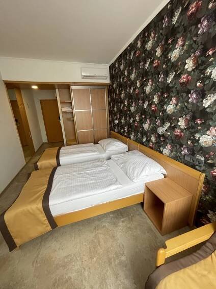 Ubytování | Hotel Akademie Velké Bílovice ****