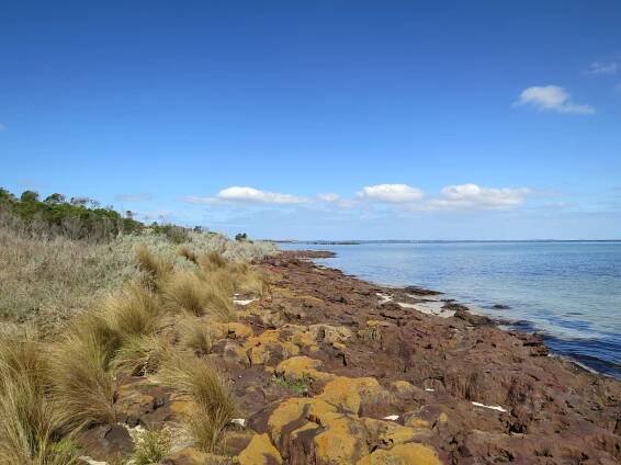 French Island