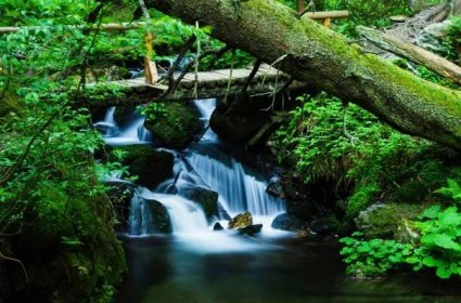 Vodopády Bílé Opavy – kouzlo přírody Jeseníků