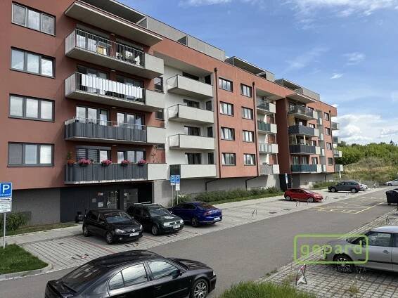 Pronájem prostorného bytu 2+kk s balkonem v Olomouci | GEPARD REALITY