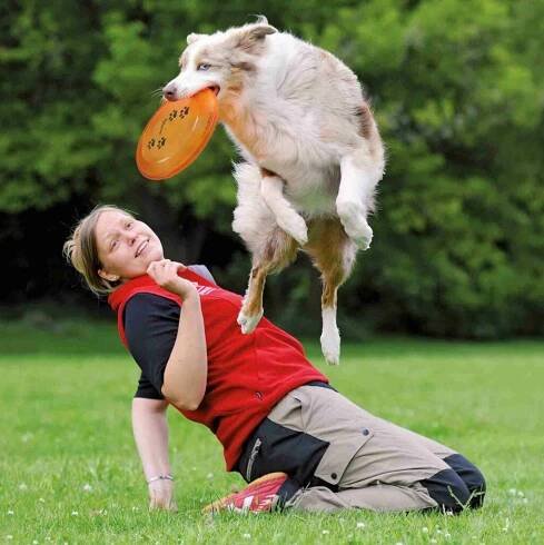 trixie-frisbee-pro-psy-3