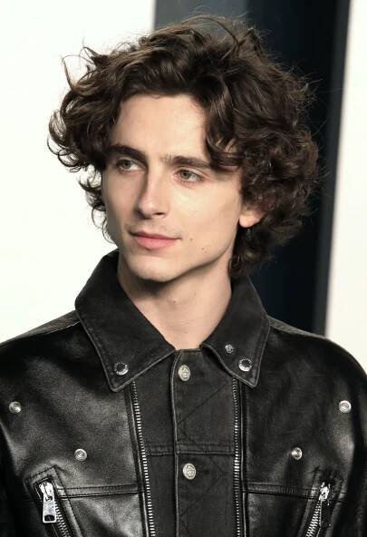 Timothée Chalamet’s Hair: How to Get His Waves & Curls Style in 2025