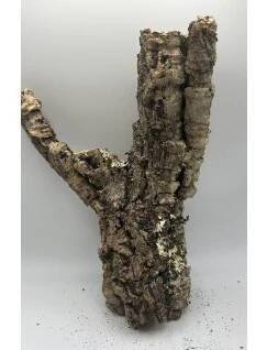 Korková kůra 31)délka34cm,Ø10cm