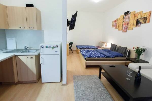 Apartmán Castle Praha