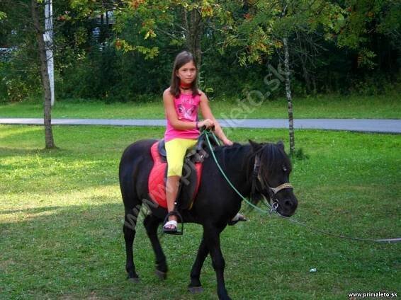 Detské letné tabory, detský letný tábor prima leto - Fotogaléria